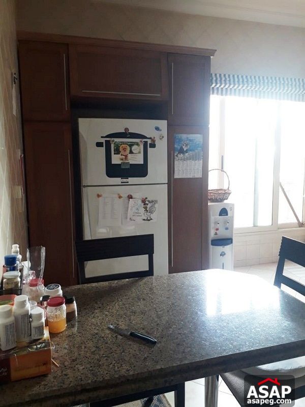 Villa with Pool for Rent in Katameya Heights Villa with Pool for Rent in Katameya Heights