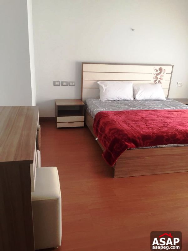 Furnished Penthouse for Rent in the Village Furnished Penthouse for Rent in the Village