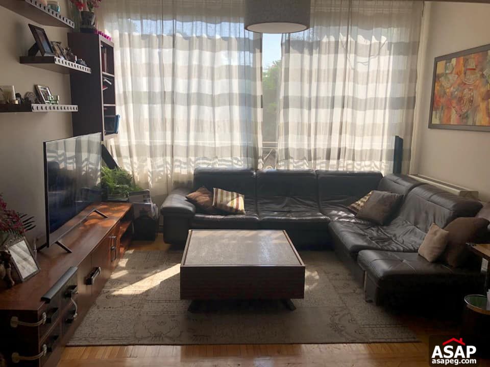 Apartment for Rent in Zamalek Apartment for Rent in Zamalek