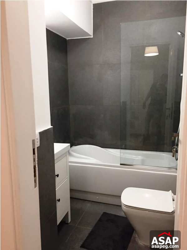 Nice Flat for Rent in Zamalek Nice Flat for Rent in Zamalek