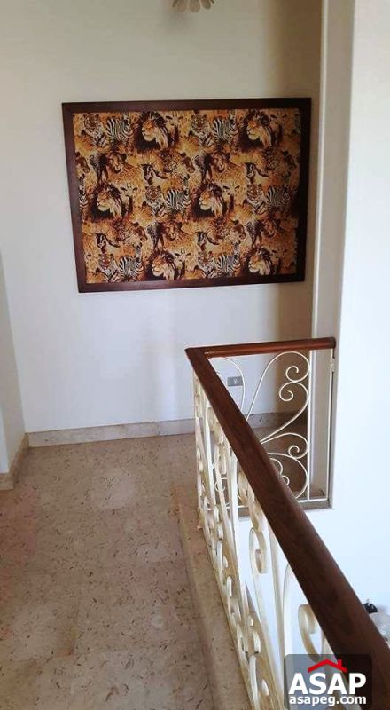 Villa for Rent in Sheikh Zayed