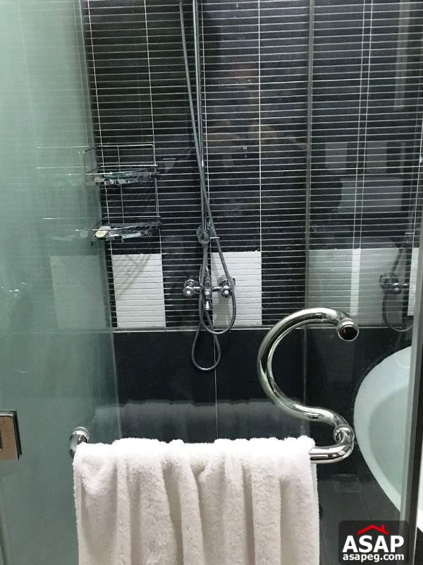 Duplex with Big Garden in Lake View for Rent Duplex with Big Garden in Lake View for Rent