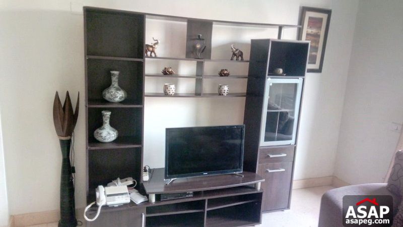 Apartment with Pool View in Katameya Plaza