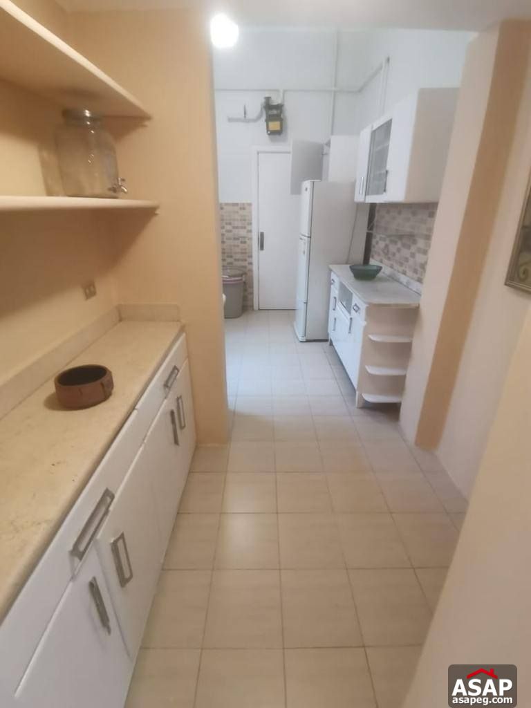 Nice Flat for Rent in Zamalek Nice Flat for Rent in Zamalek