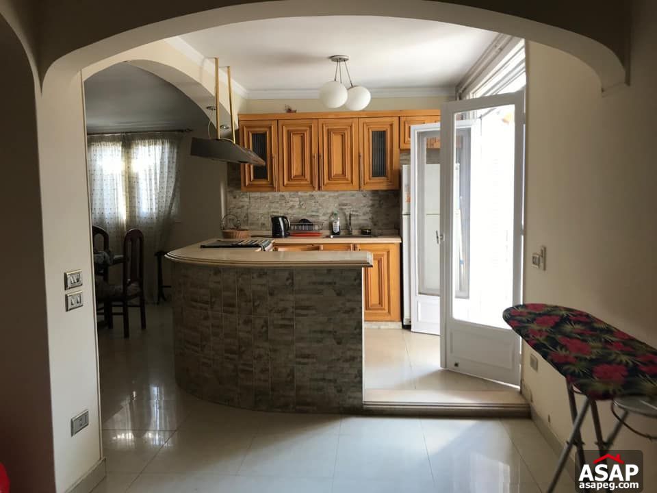 Apartment for Rent in Zamalek Apartment for Rent in Zamalek