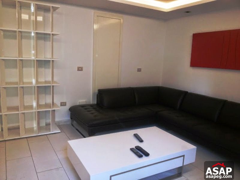 Apartment with Garden in Zamalek Apartment with Garden in Zamalek