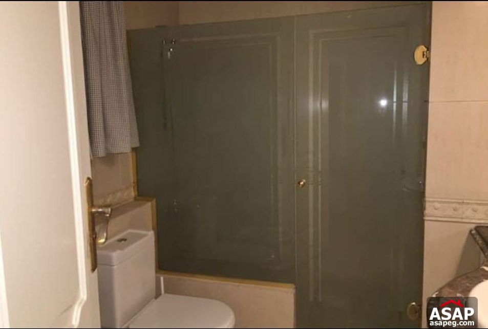 Apartment with Nile View for Rent in Zamalek Apartment with Nile View for Rent in Zamalek