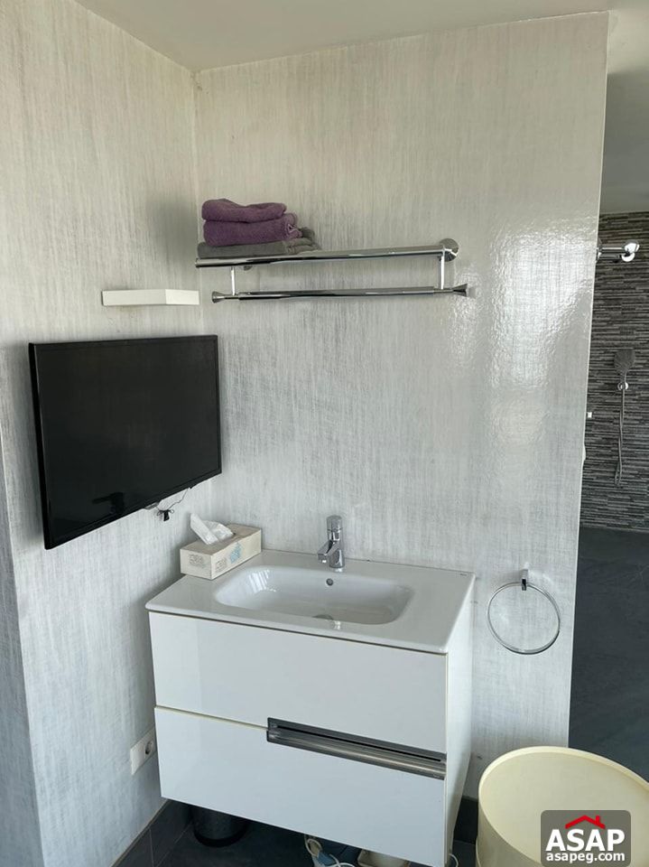 Amazing Apartment for Rent in Zamalek Amazing Apartment for Rent in Zamalek