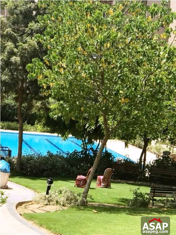 Apartment with Garden for Rent in Katameya Plaza Apartment with Garden for Rent in Katameya Plaza