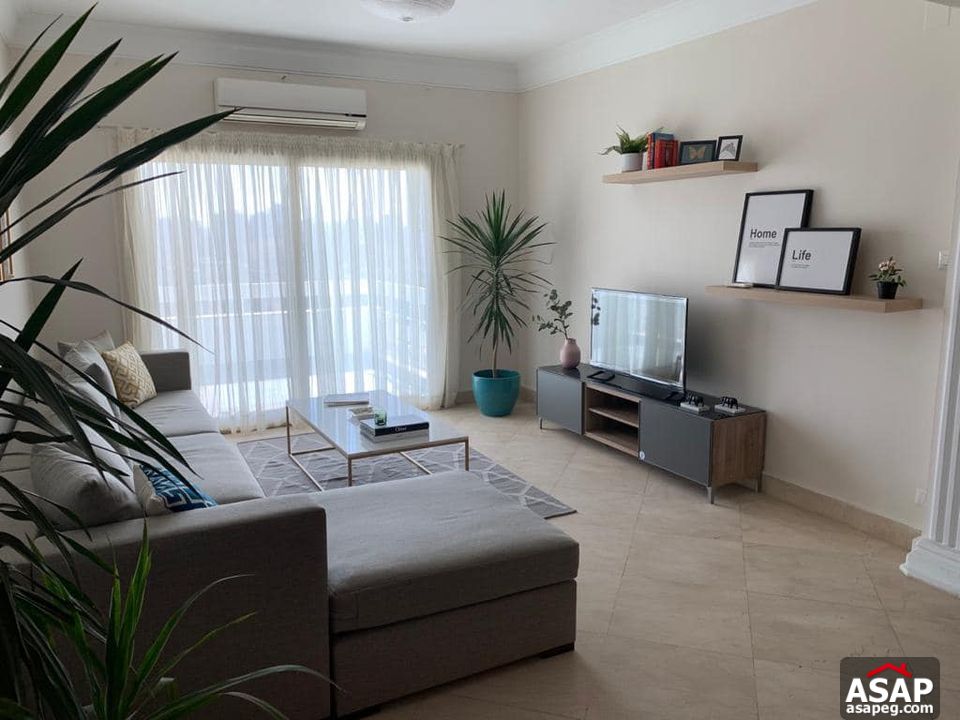 Apartment with Nile View for Rent in Zamalek Apartment with Nile View for Rent in Zamalek