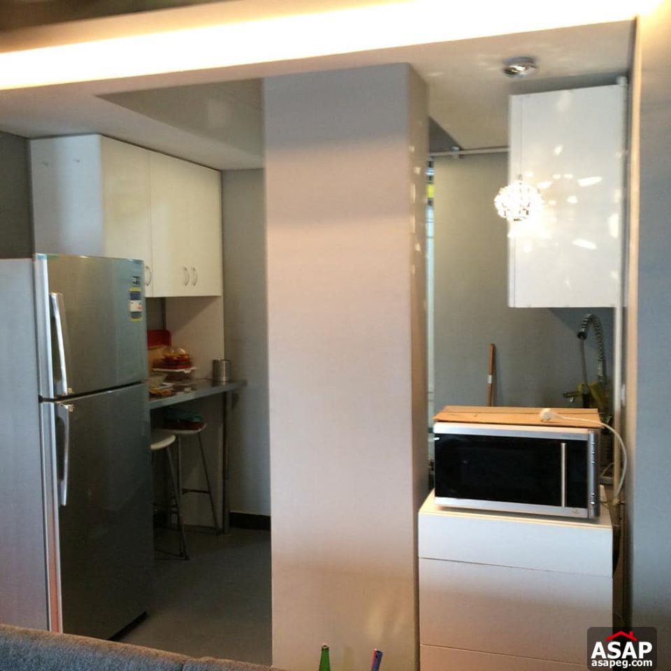 Apartment for Rent in Zamalek Apartment for Rent in Zamalek