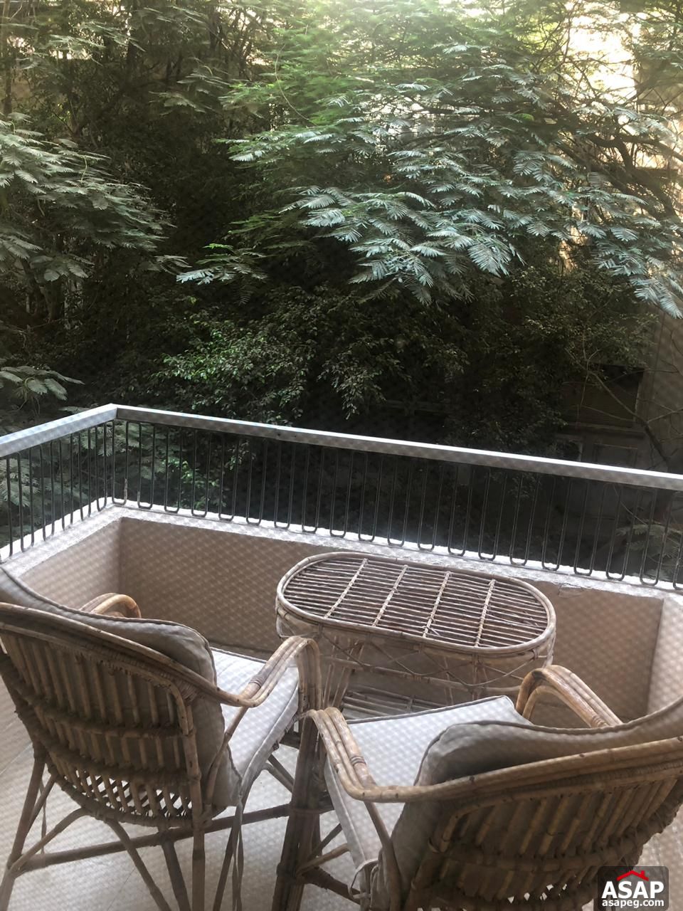 Furnished Apartment for Rent in Zamalek Furnished Apartment for Rent in Zamalek