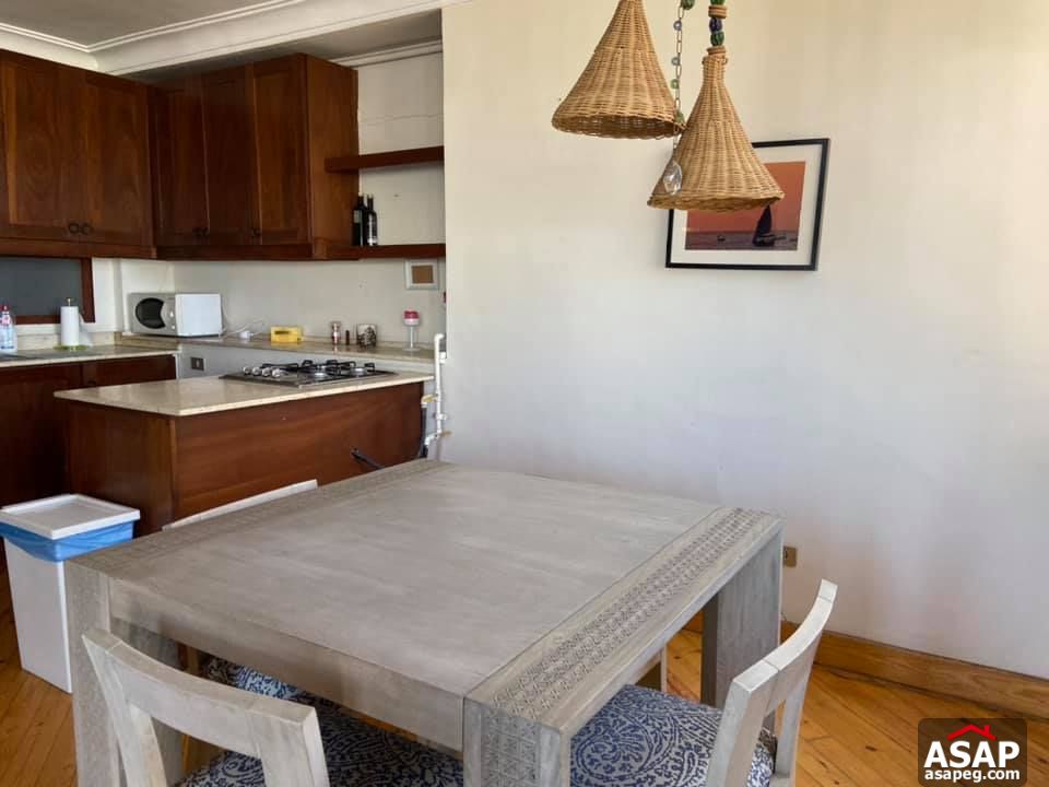 Apartment for Rent in Zamalek Apartment for Rent in Zamalek