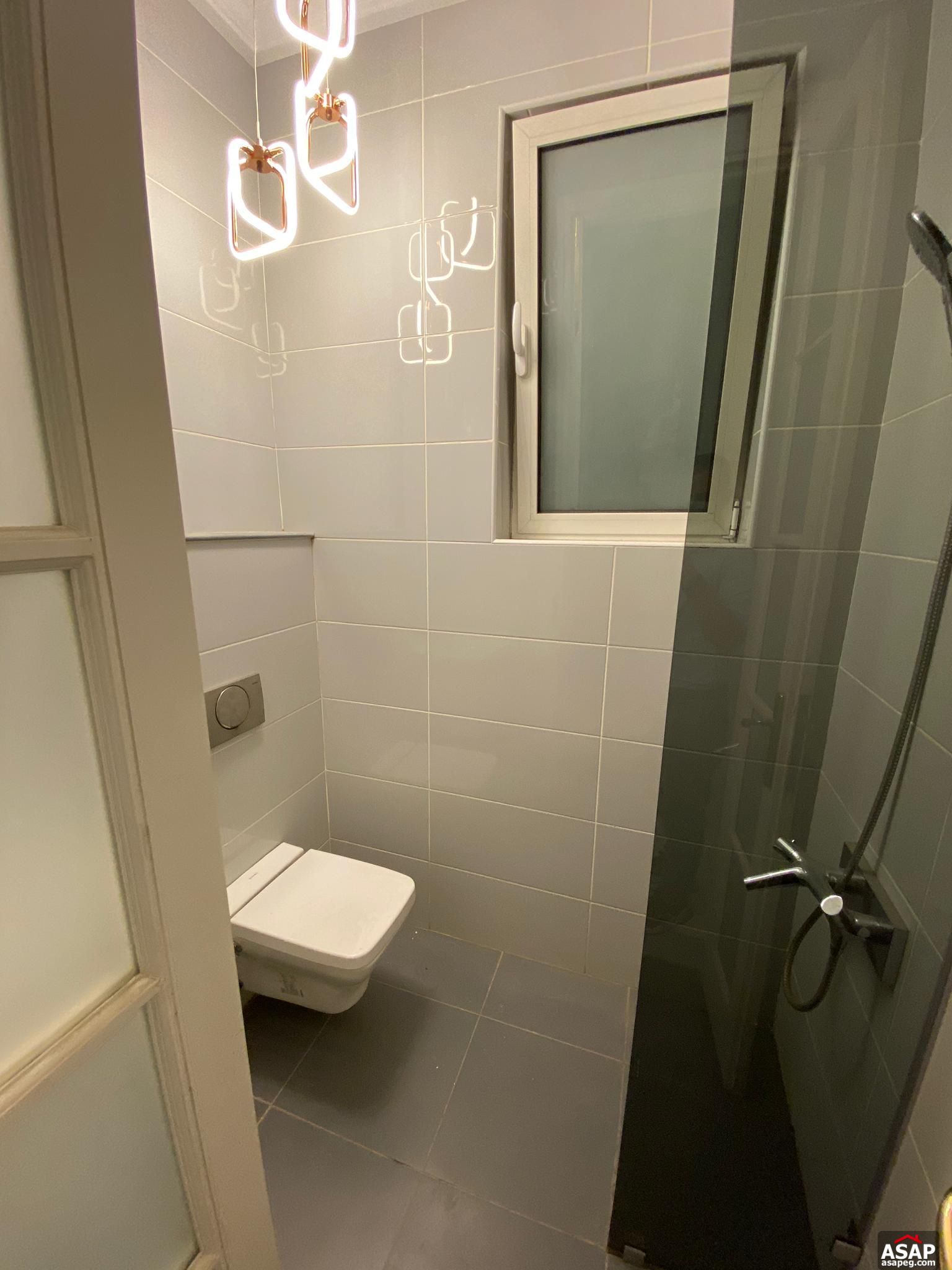 Apartment for Rent in Zamalek Apartment for Rent in Zamalek