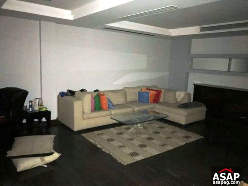 Apartment with Nile View for Rent in Zamalek Apartment with Nile View for Rent in Zamalek