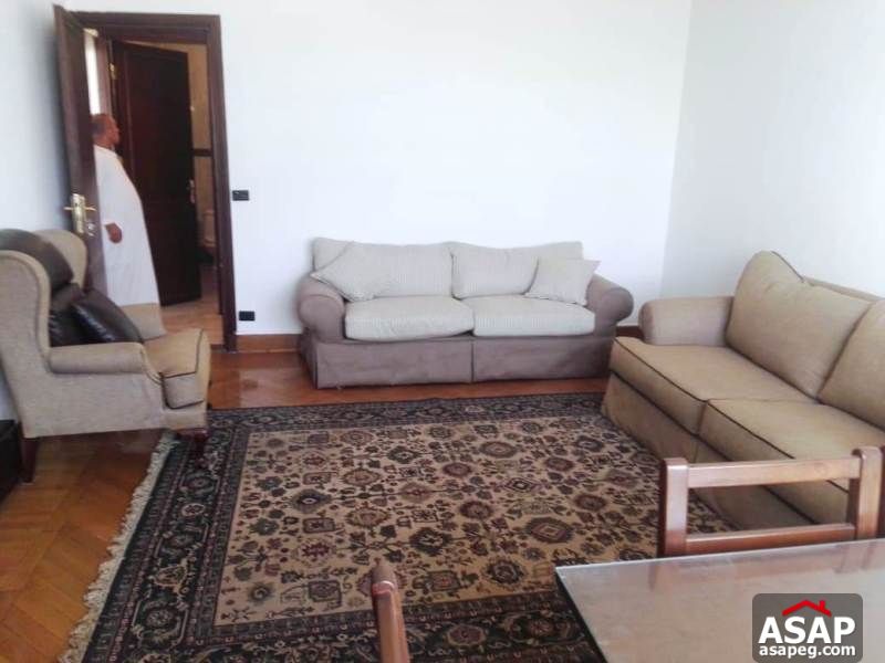 Apartment with Big Roof for Rent in Zamalek Apartment with Big Roof for Rent in Zamalek