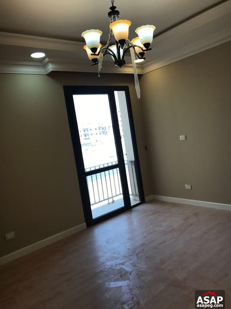 Modern Apartment in Eastown for Rent Modern Apartment in Eastown for Rent