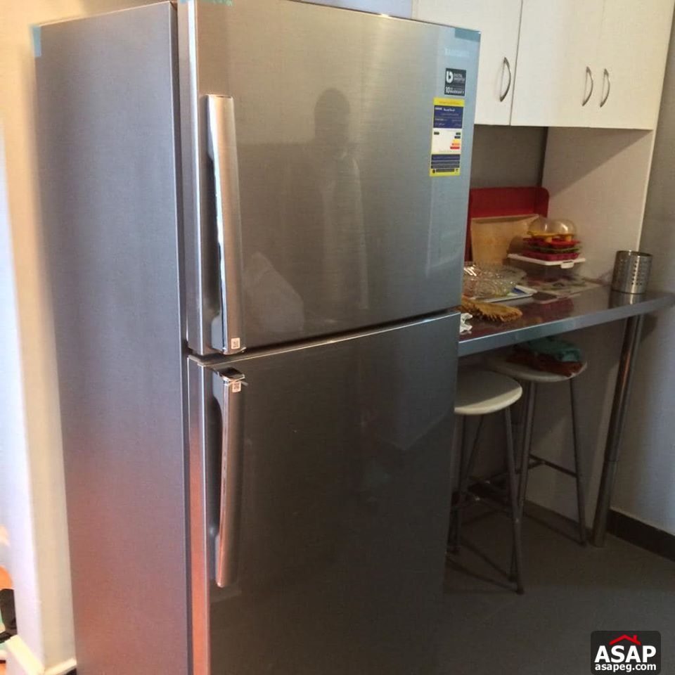 Apartment for Rent in Zamalek Apartment for Rent in Zamalek