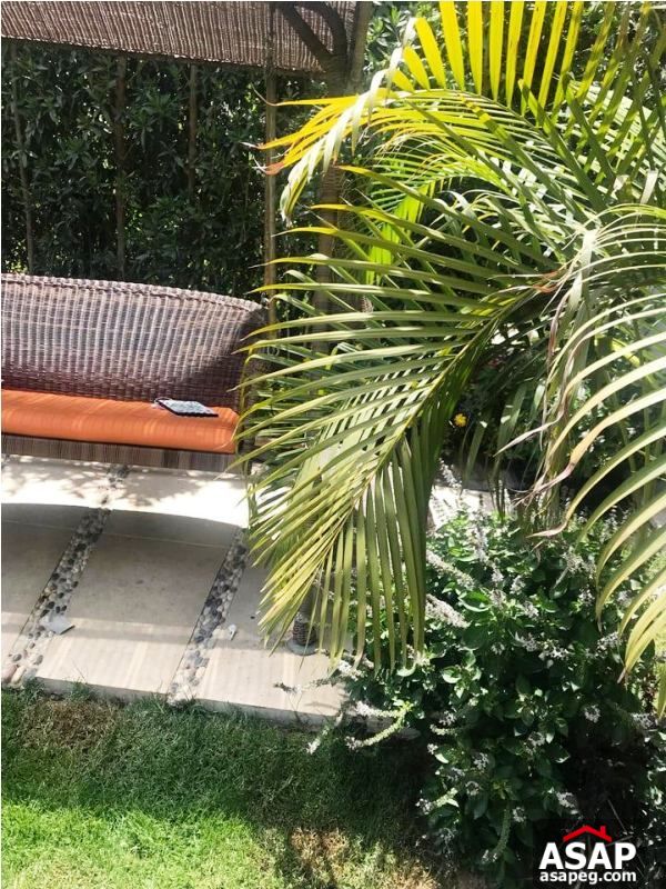 Duplex with Garden for Sale in Eastown Duplex with Garden for Sale in Eastown