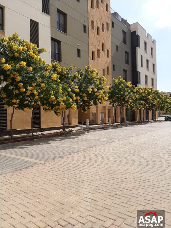 Apartment for Rent in Eastown Sodic Apartment for Rent in Eastown Sodic