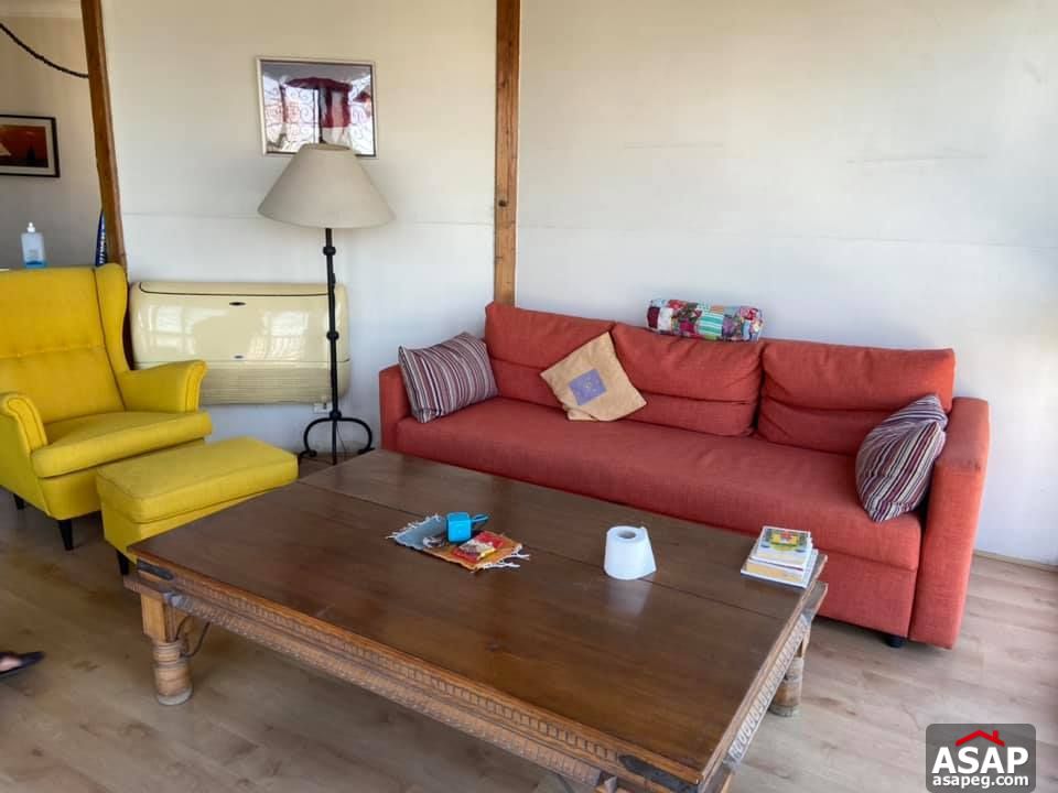 Apartment for Rent in Zamalek Apartment for Rent in Zamalek