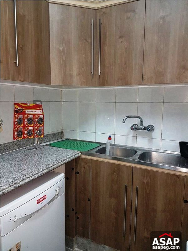 Apartment with Balcony for Rent in Zamalek Apartment with Balcony for Rent in Zamalek