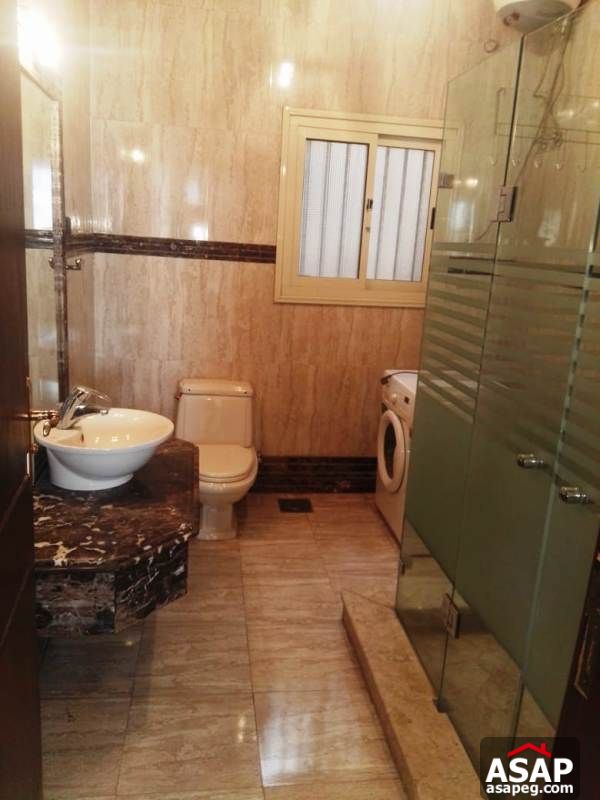 Apartment with Big Roof for Rent in Zamalek Apartment with Big Roof for Rent in Zamalek