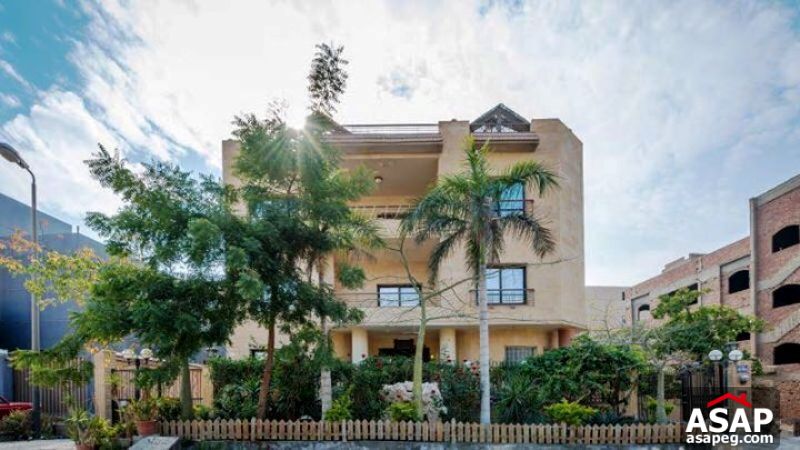 Fully Furnished Apartment for Rent in 1st Settlement Fully Furnished Apartment for Rent in 1st Settlement