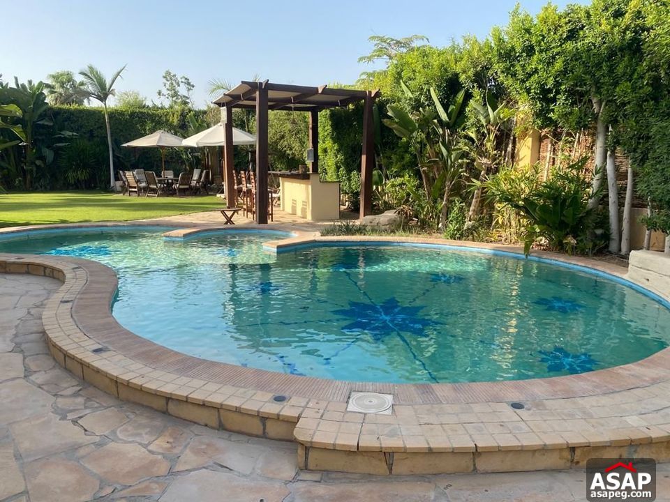 Villa for Rent in Belle Ville Compound