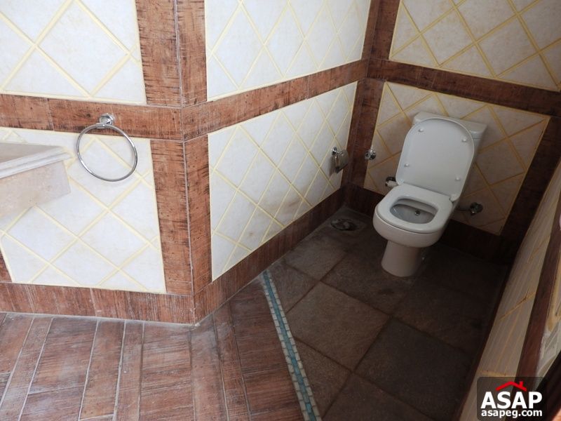 Modern Penthouse for Rent in Zamalek