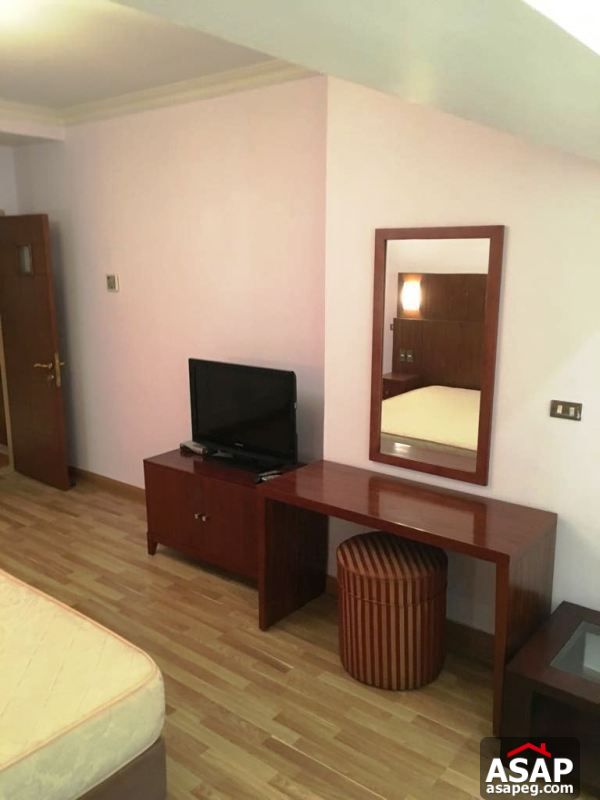 Furnished Apartment with Nile View in Dokki