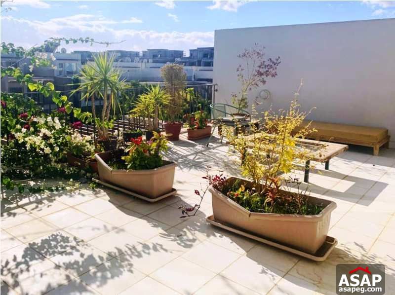 Town House with Garden for Rent in Westown - Sheikh Zayed Town House with Garden for Rent in Westown - Sheikh Zayed