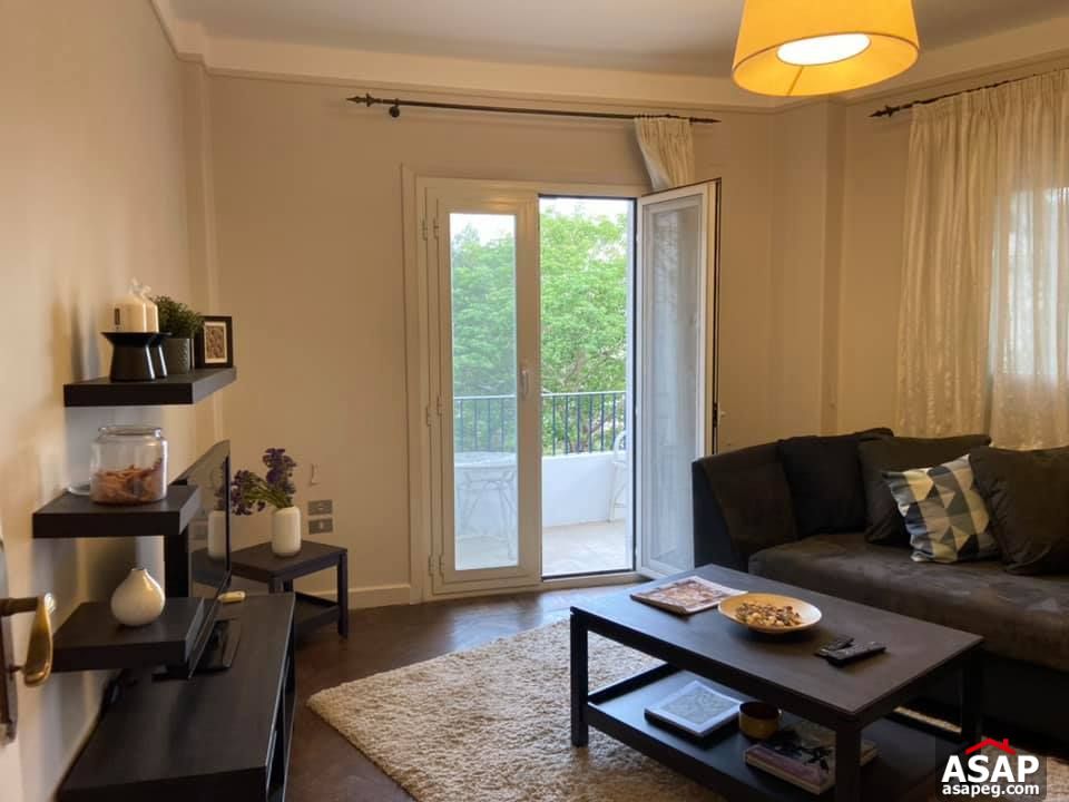 Apartment for Rent in Zamalek