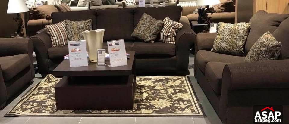 Apartment for Rent in Zamalek Apartment for Rent in Zamalek