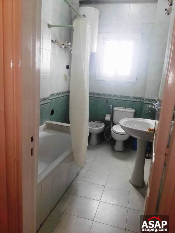 Apartment with Big Roof for Rent in Zamalek Apartment with Big Roof for Rent in Zamalek