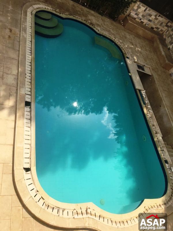 Villa with Pool for Rent in El Gezira - New Cairo Villa with Pool for Rent in El Gezira - New Cairo