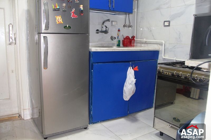 Apartment for rent in zamalek