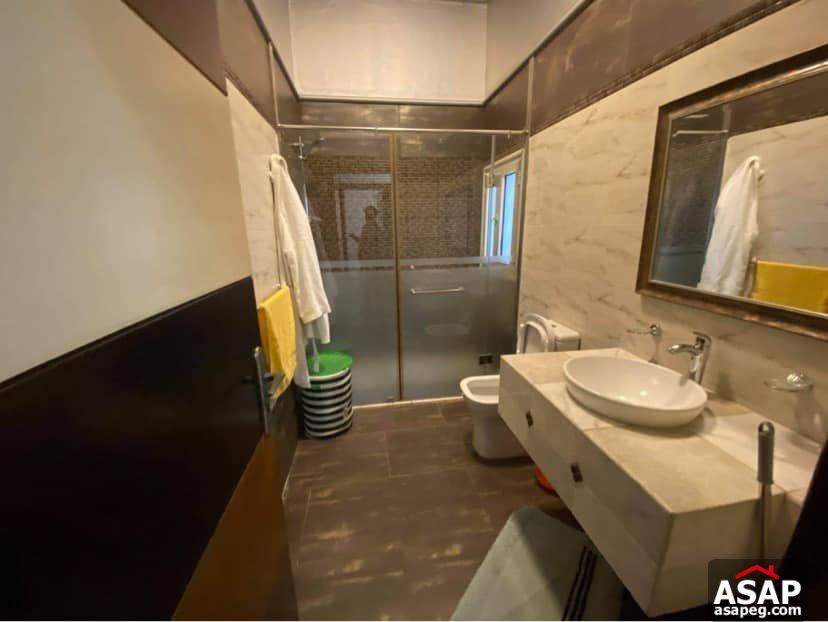 Furnished Flat for Rent in Zamalek Furnished Flat for Rent in Zamalek