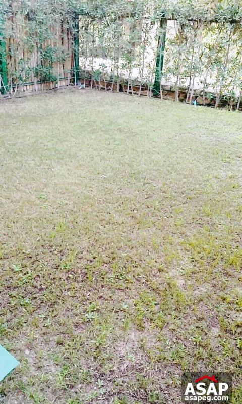 Duplex for Rent in Casa - Sheikh Zayed Duplex for Rent in Casa - Sheikh Zayed