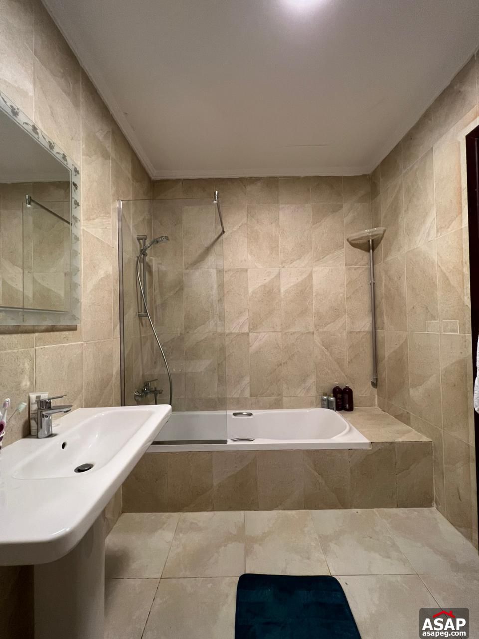 Furnished Apartment for Rent in Hyde Park