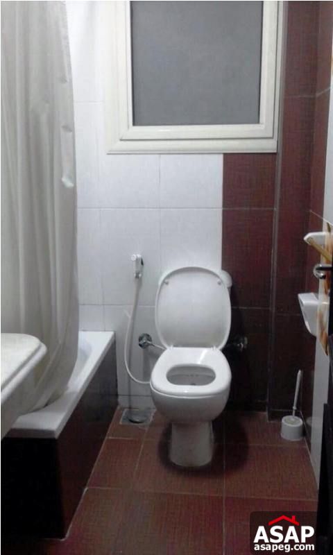 Apartment for Rent in Dokki Apartment for Rent in Dokki