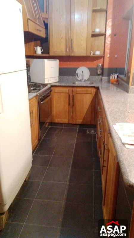 Fully Furnished Apartment for Rent in Zamalek Fully Furnished Apartment for Rent in Zamalek