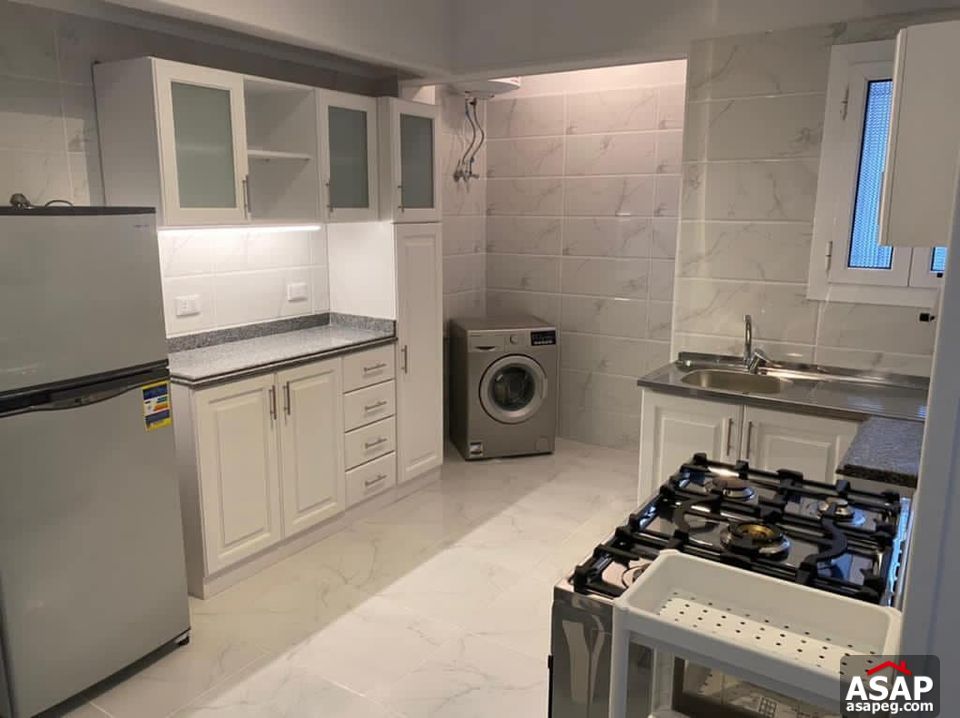 Apartment for Rent in Zamalek Apartment for Rent in Zamalek