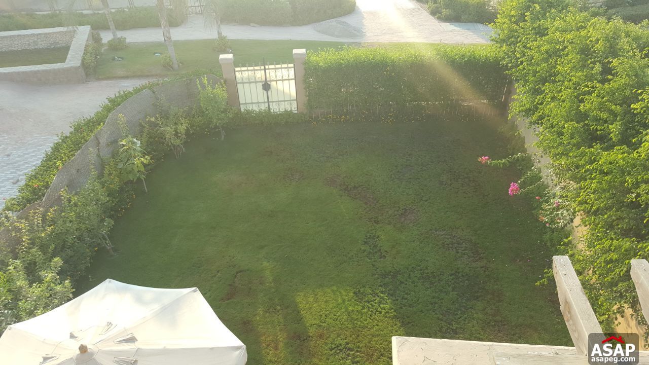 Villa for Rent in Meadows Park Villa for Rent in Meadows Park