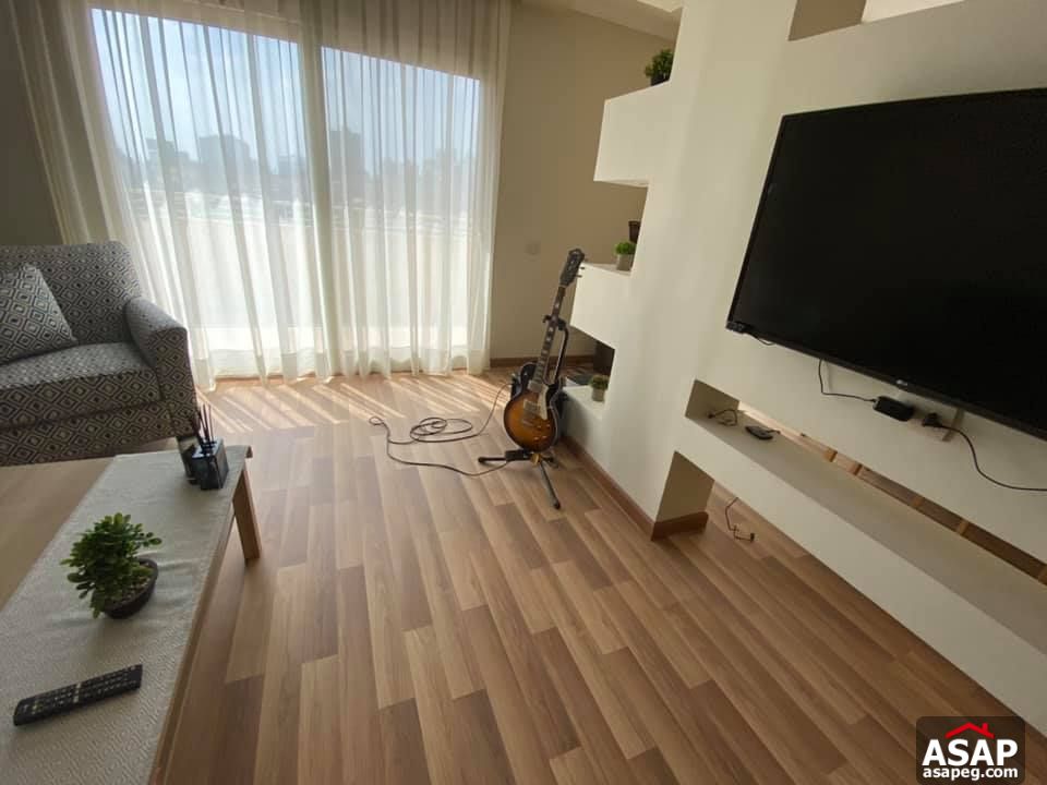 Apartment for Rent in Zamalek Apartment for Rent in Zamalek