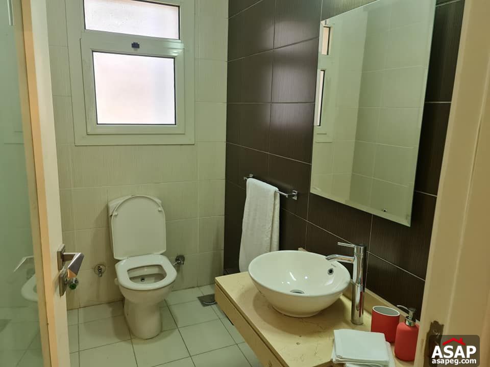 Apartment for Rent in New Cairo Apartment for Rent in New Cairo