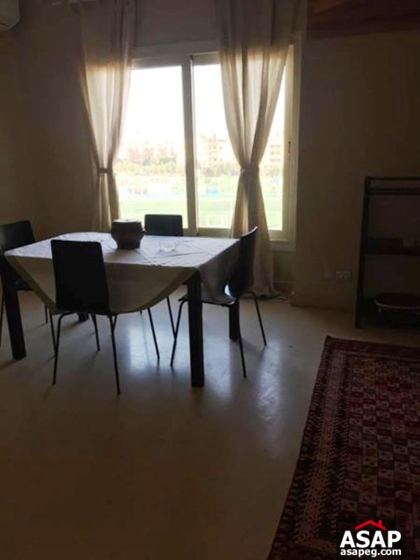 Penthouse for Rent in the Village - New Cairo Penthouse for Rent in the Village - New Cairo