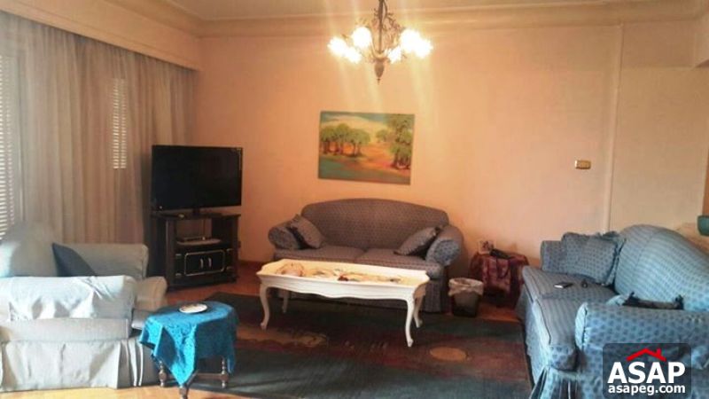 Apartment for Rent in Zamalek
