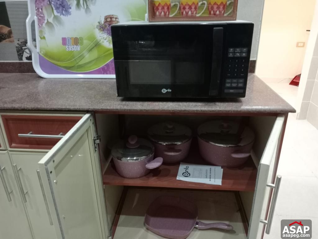 Furnished Apartment in Lake View Residence Furnished Apartment in Lake View Residence