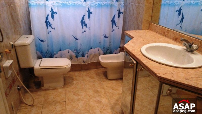 Furnished Apartment for Rent in Zamalek Furnished Apartment for Rent in Zamalek